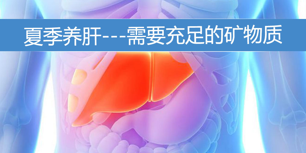 夏季養(yǎng)肝需要充足的礦物質(zhì),保護肝功能