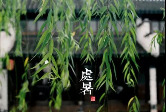 處暑養(yǎng)生小常識(shí),謹(jǐn)記滋陰潤(rùn)肺防秋燥