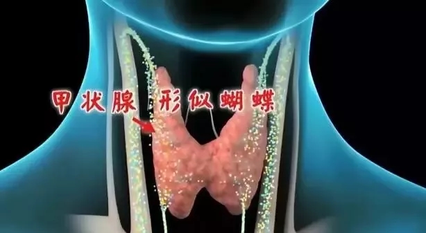 硒與甲狀腺