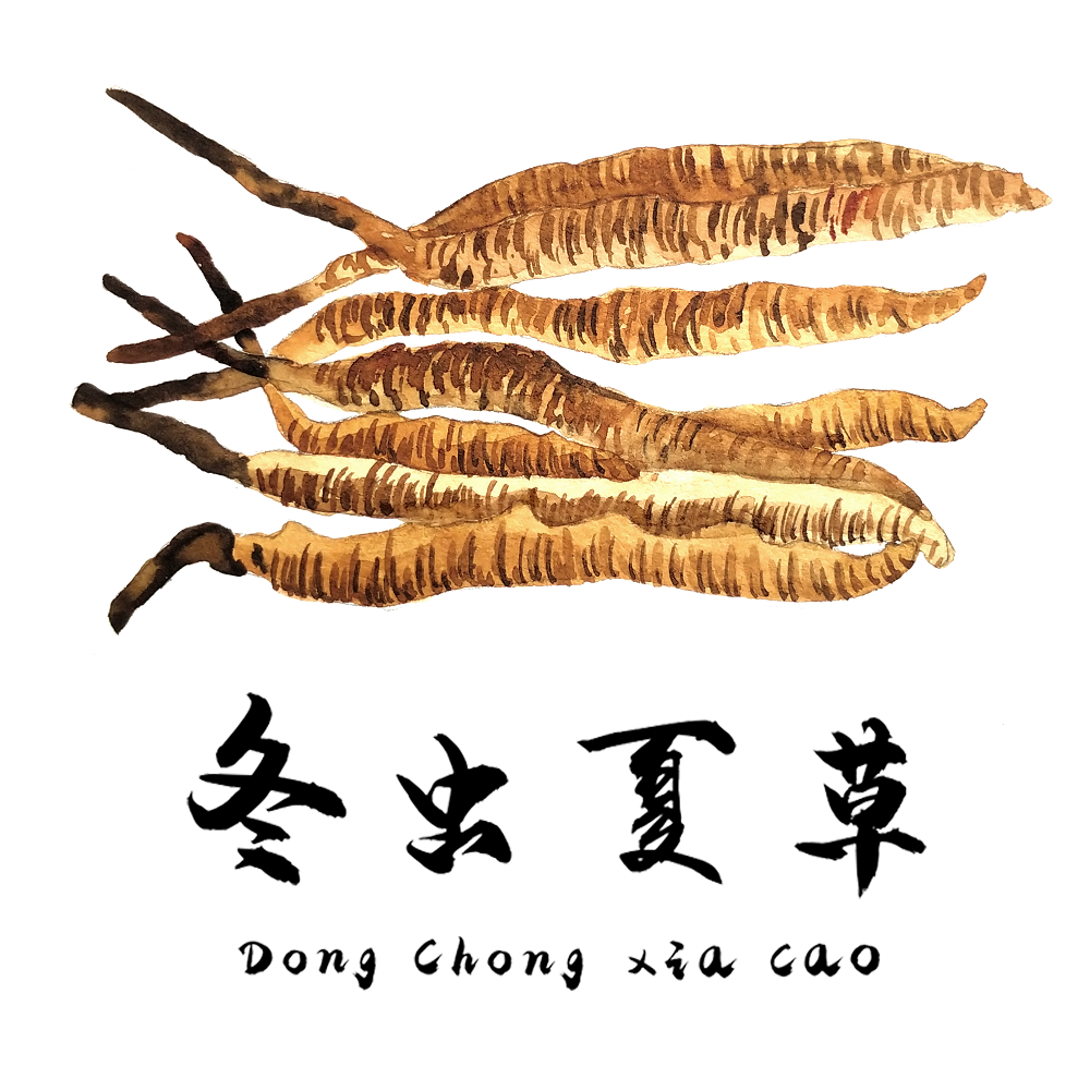 對于食道癌，冬蟲夏草有一定的改善作用