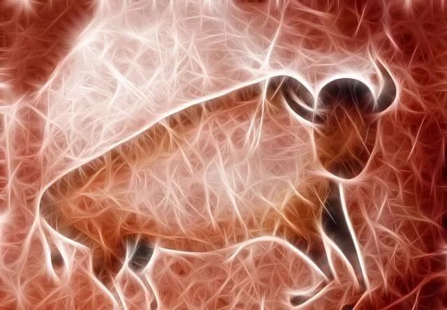 牛磺酸到底對人體神經(jīng)系統(tǒng)有什么好處？