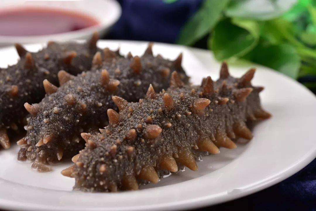 夏季能不能吃海參滋補(bǔ)身體呢？