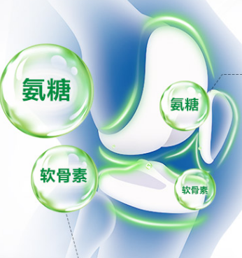 骨關(guān)節(jié)養(yǎng)護“潛力股”，氨糖的作用有什么？